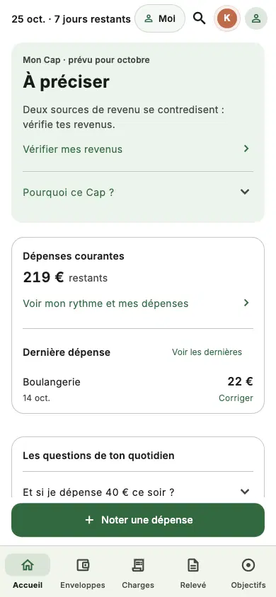 Accueil — exemple fictif avec des revenus à vérifier, version 5.8.2
